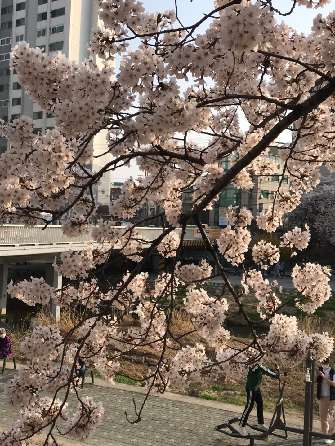 우이천2