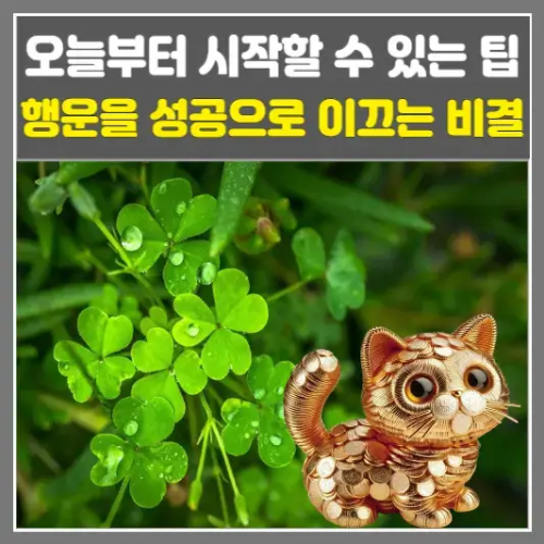 행운을 성공으로 이끄는 비결, 오늘부터 시작할 수 있는 팁