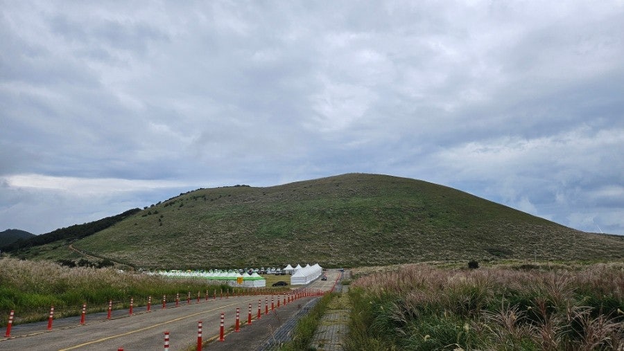 제주 새별오름 사진