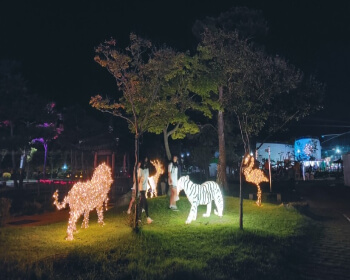 함양산삼축제_6