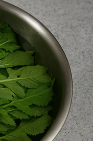 열무김치 맛있게 담그는법황금레시피