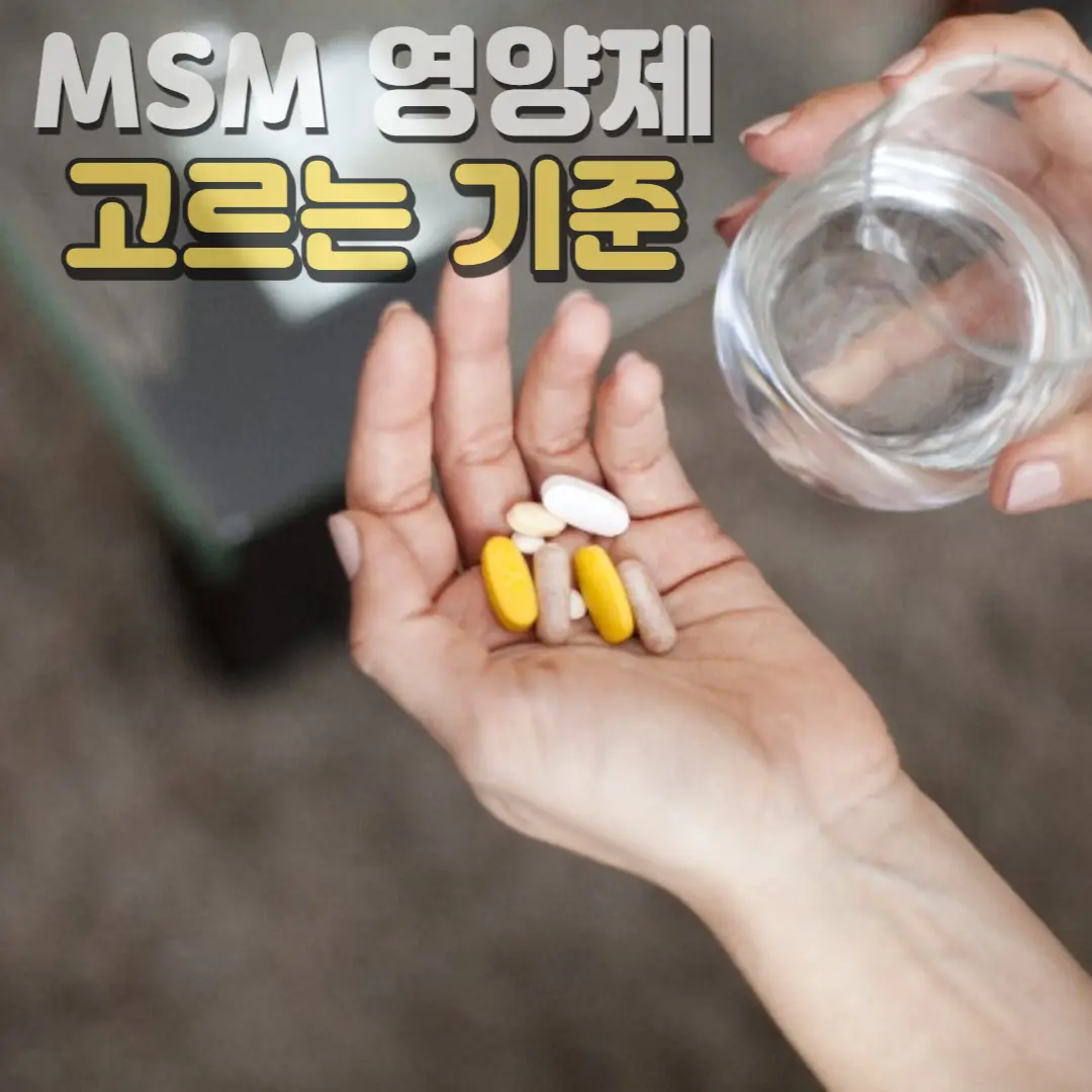 MSM영양제 고르는 기준