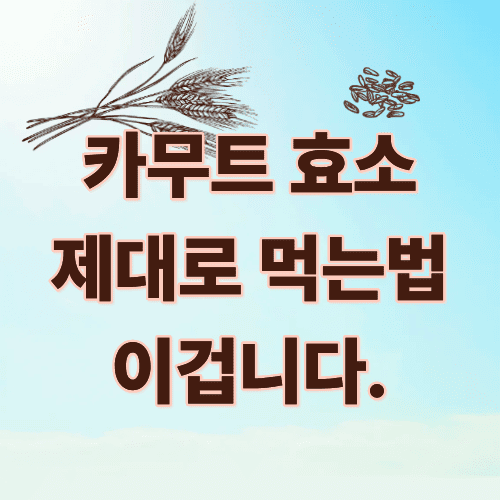 카무트효소-먹는법