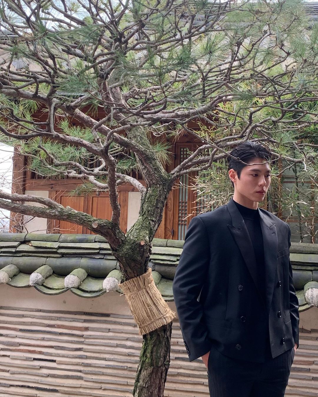 박보검