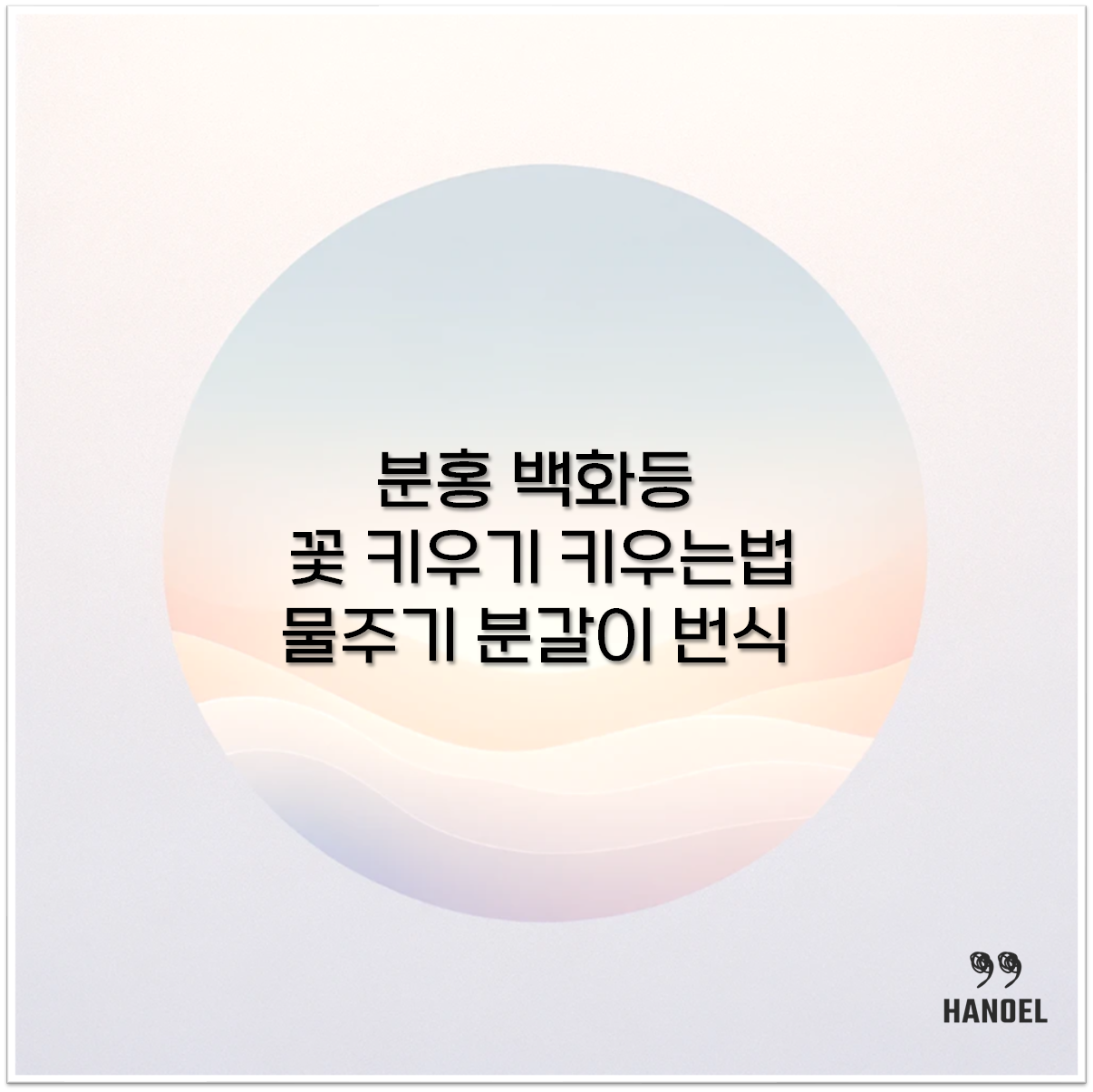 분홍 백화등