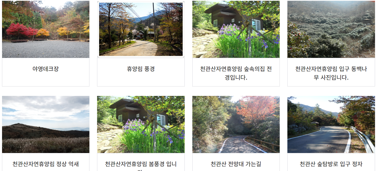 천관산자연휴양림 예약방법 총정리