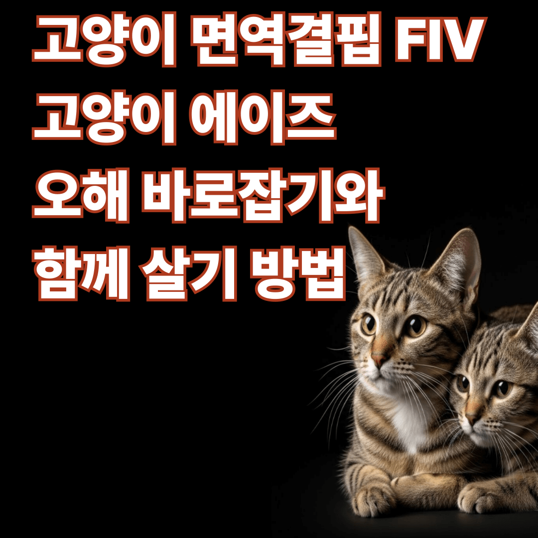 고양이 면역결핍 FIV 고양이 에이즈 오해 바로잡기 + 함께 살기 방법