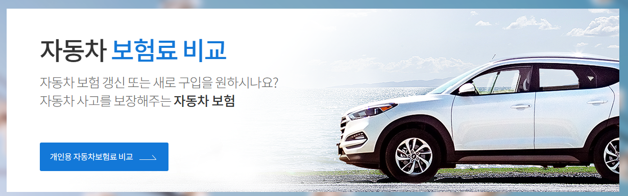 자동차보험 비교