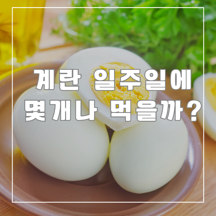 계란 일주일에 몇개나 먹을까?