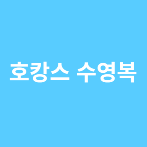 호캉스 수영복 원피스