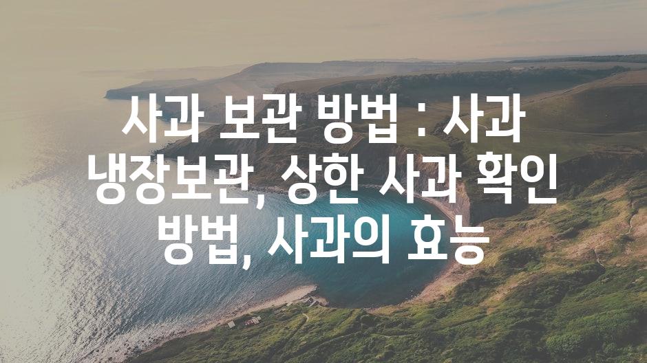 샘플 (11)