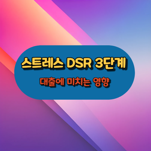 스트레스 DSR 3단계