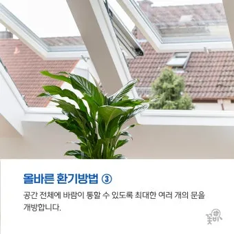 실내화분 환기 요령 미세먼지 많은날 창문관리 공기청정기 병행 팁_31