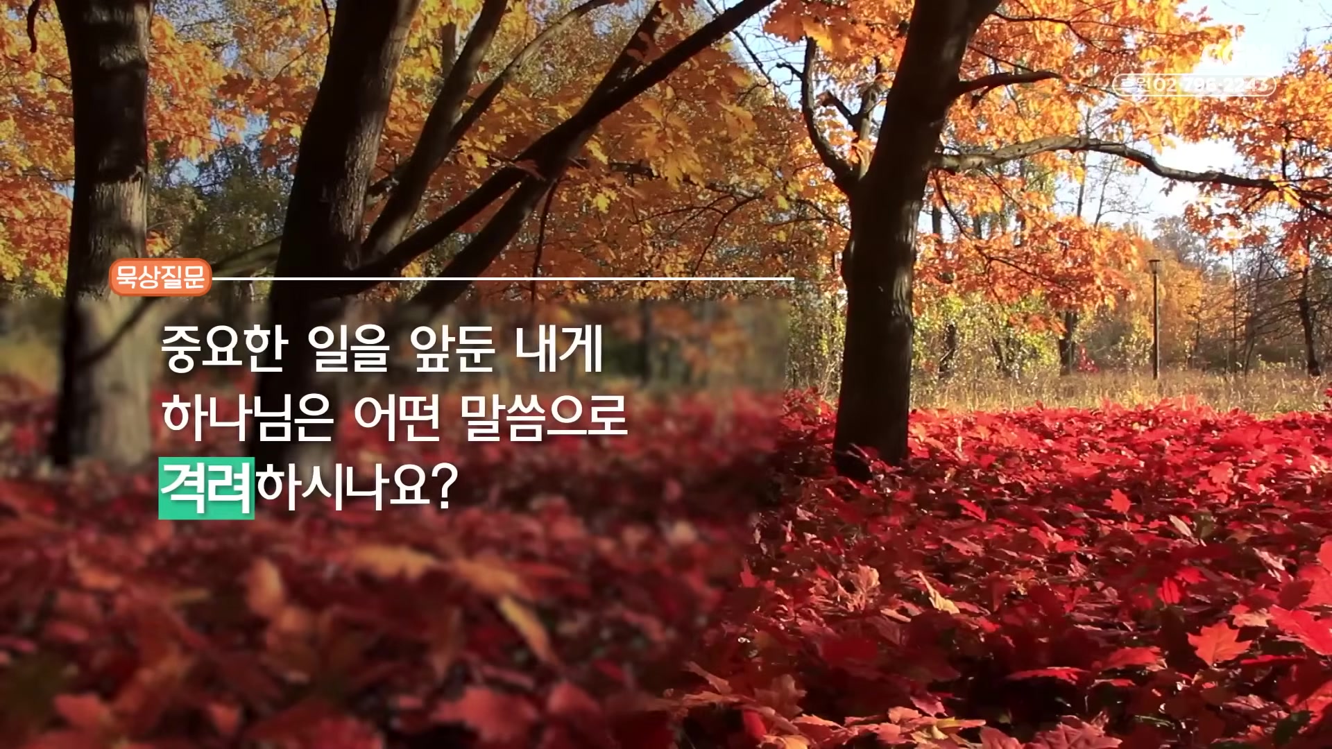 중요한 일을 앞둔 내게 하나님은 어떤 말씀으로 격려하시나요?