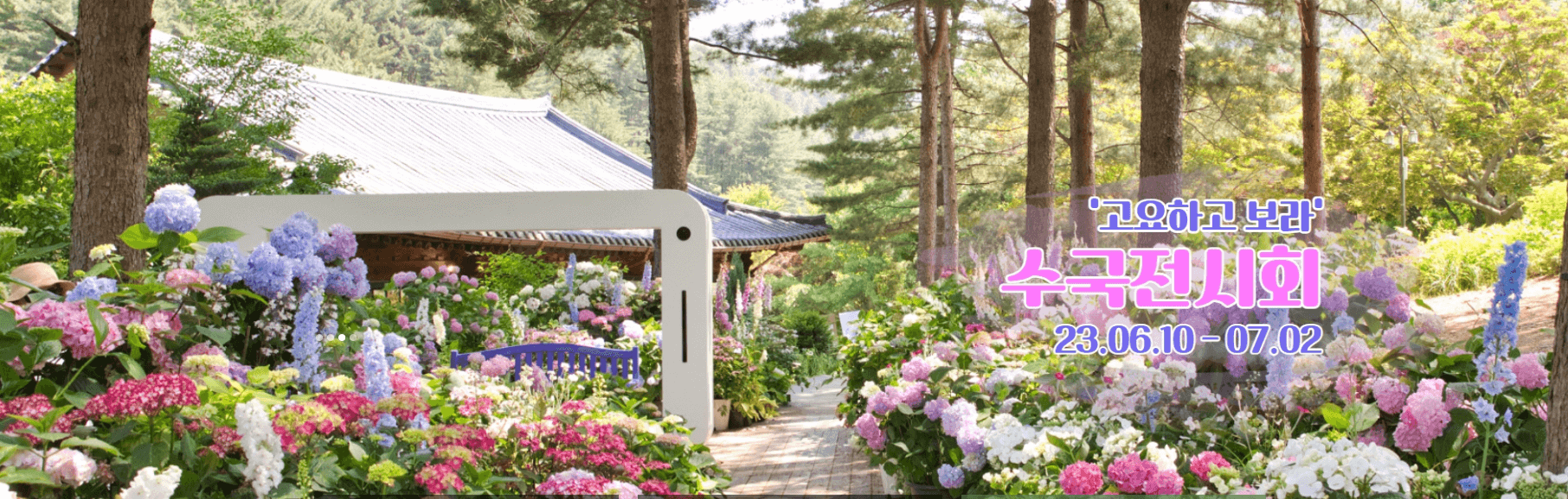 아침고요 수국전시회