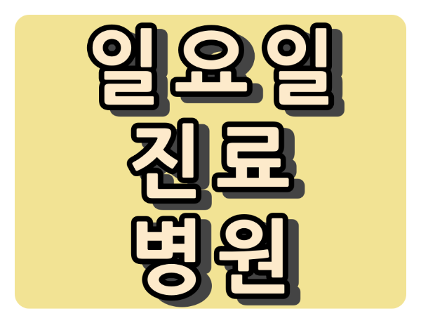 부산시 강서구 일요일 문여는 병원