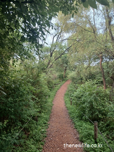 서울 맨발 걷기 좋은 장소 &ndash; 붉은 흙이 드러난 암사 생태공원 맨발 걷기 장소 후반부 전경