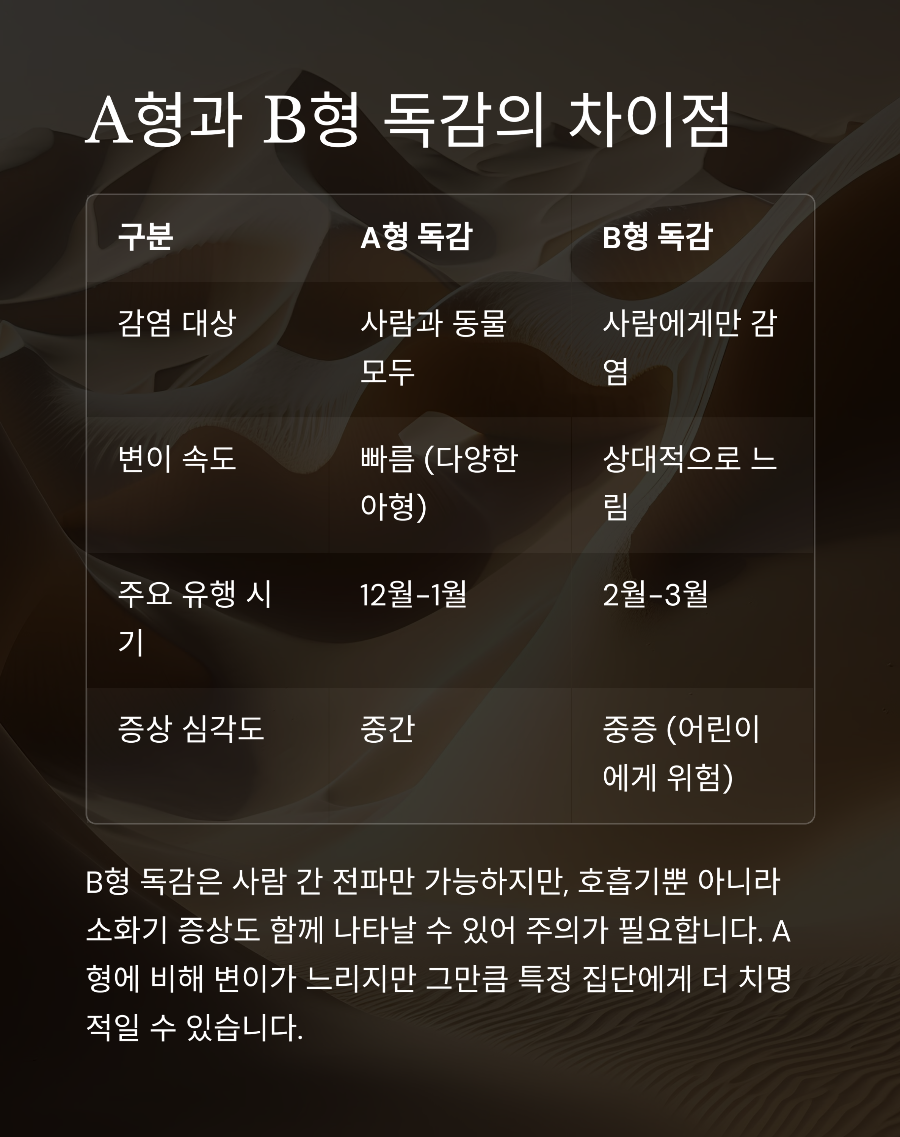 B형 독감 완전 정복: 전염성 강한 B형 독감 증상과 A형과의 차이점