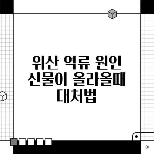 위산 역류 원인 신물이 올라올때 대처법