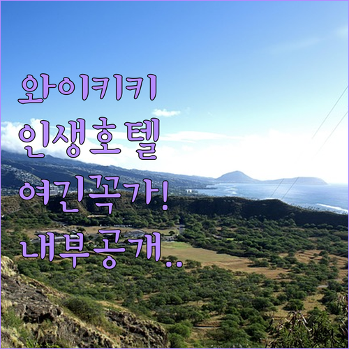 와이키키 해변 근처 인기 호텔 5곳 ..