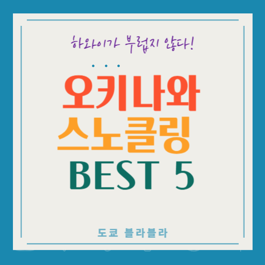 오키나와 스노클링 추천 명소 BEST 5