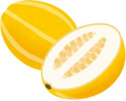 체내 독소 빼는 참외