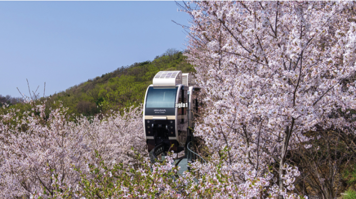 화담숲 모노레일