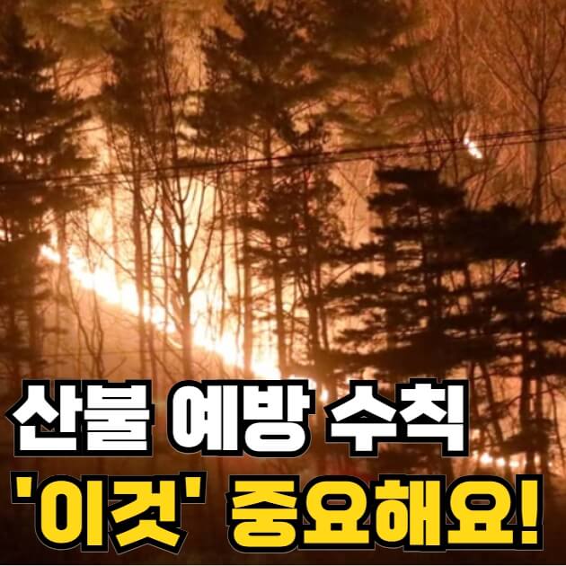 산불 예방 수칙
