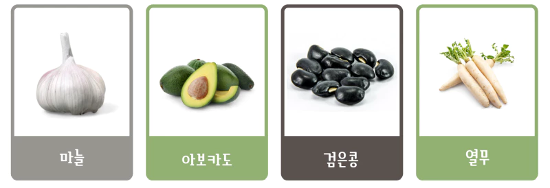 마늘-아보카도-검은콩-열무-축농증에-좋은 음식