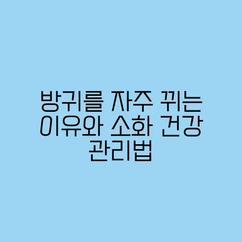 방귀를 자주 뀌는 이유와 소화 건강 관리법
