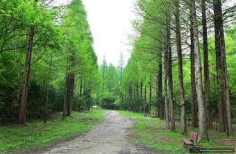 자연휴양림 예약정보시스템 바로가기 완벽 이용 가이드_8