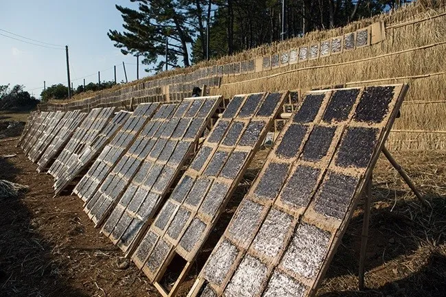 전통적 김 건조대