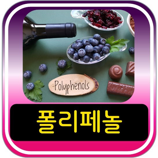 폴리페놀