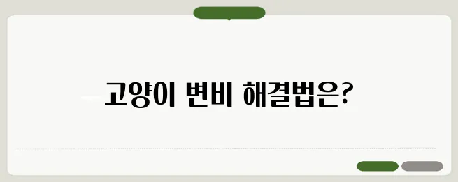 고양이의 변비 증상, 변비약 대신 영양제로 해결해보세요. 프로바이오틱캡스포캣이 그 해답입니다!