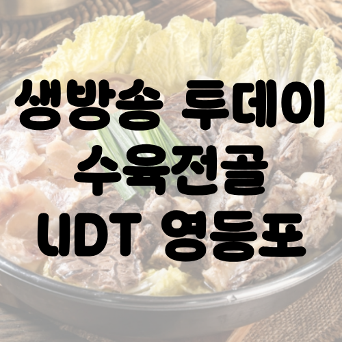 생방송 투데이 영등포 수육전골 UDT