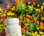 무궁화 다이어트 부작용 없는 섭취 팁|안전하게 시작하는 다이어트 방법