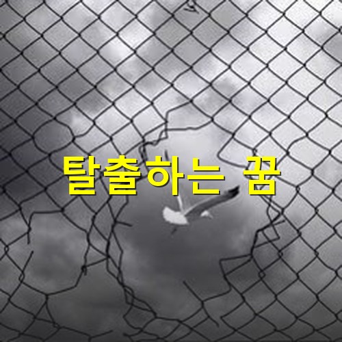 철망을-끊고-탈출했는지-찢어진-철망