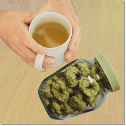 접시꽃 먹는 법