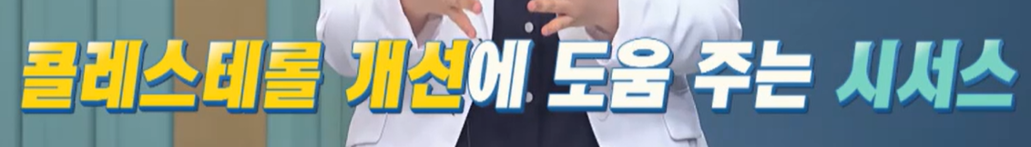 시서스 효능