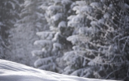 스노우 타이어 보관방법