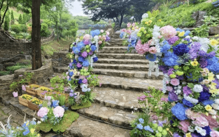 진주 월아산 수국축제