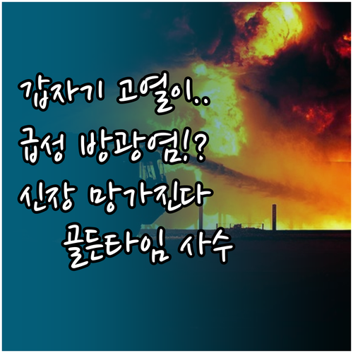 고열 오한 동반 시 신우신염 급성 방..