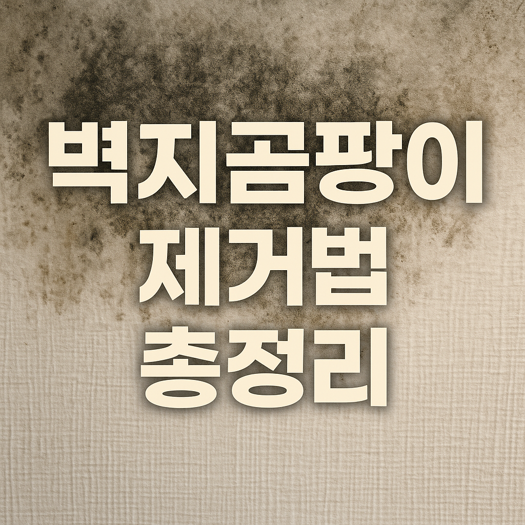 벽지곰팡이 제거법 총정리