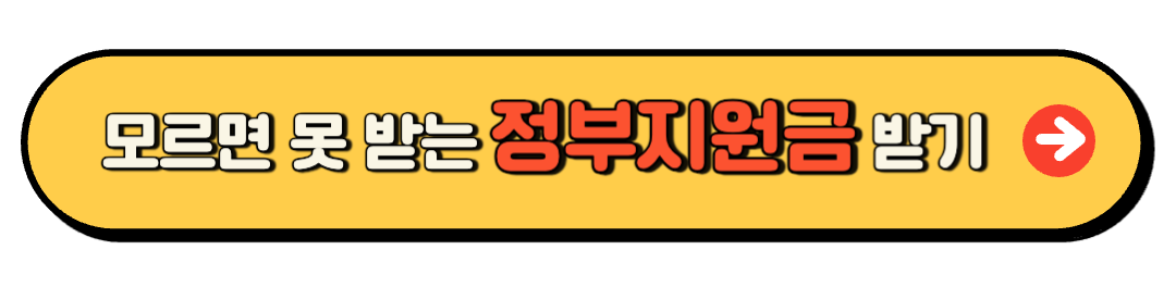 정부지원금