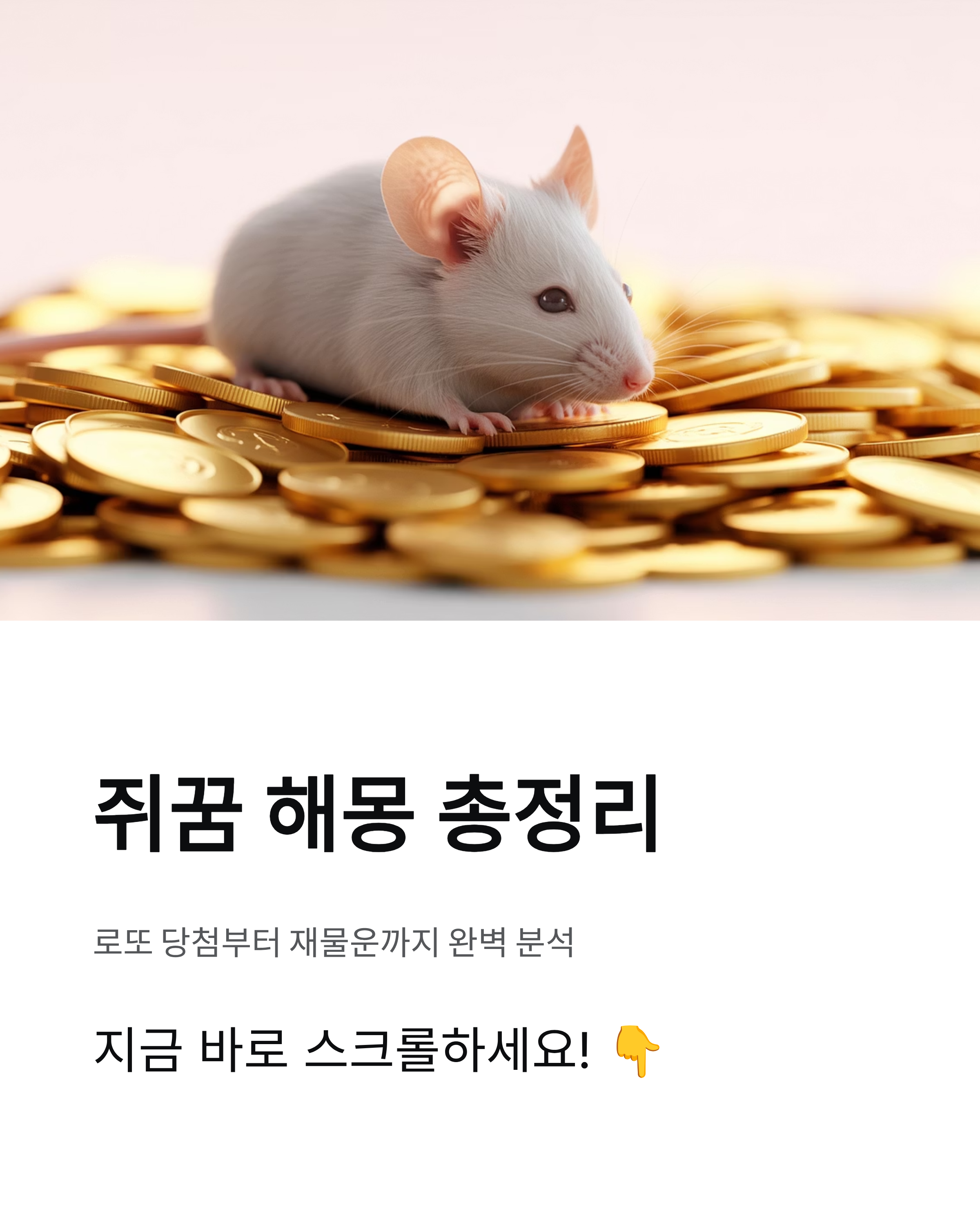 쥐꿈 해몽 총정리! 로또 당첨부터 재물운까지 완벽 분석