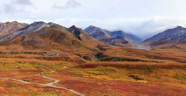 광활한 산과 평야
