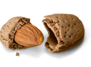 견과류 아몬드 효능과 영양성분&amp;#44; 주의사항