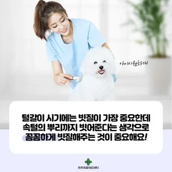 반려동물관리사 자격 교육커리큘럼 실습장비 취업처_27