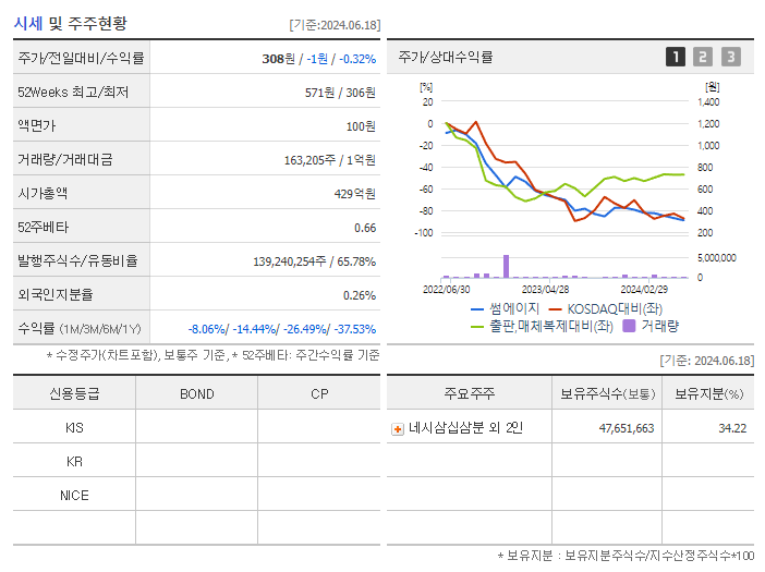 썸에이지_기업개요