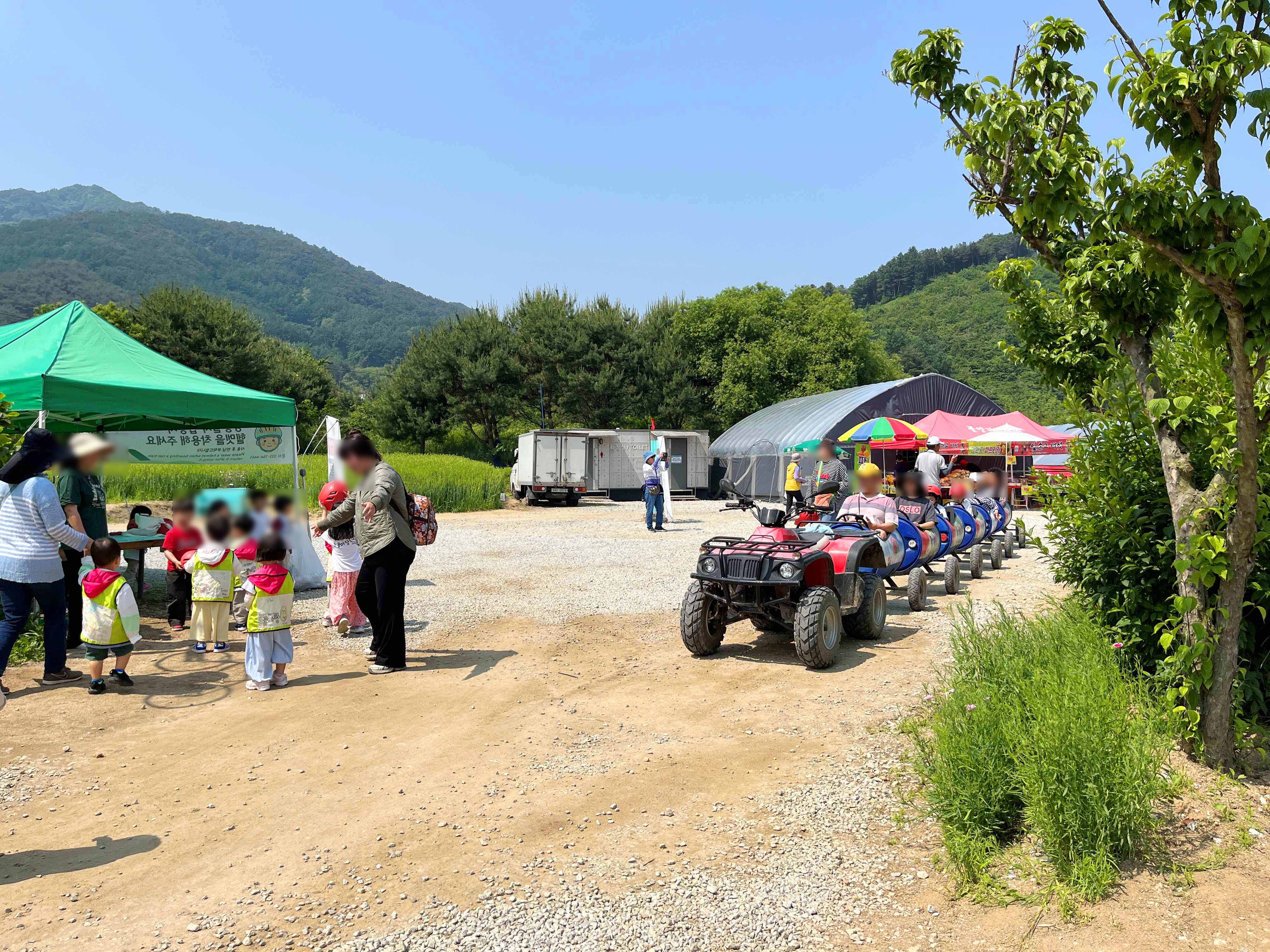 용수골 꽃양귀비 축제